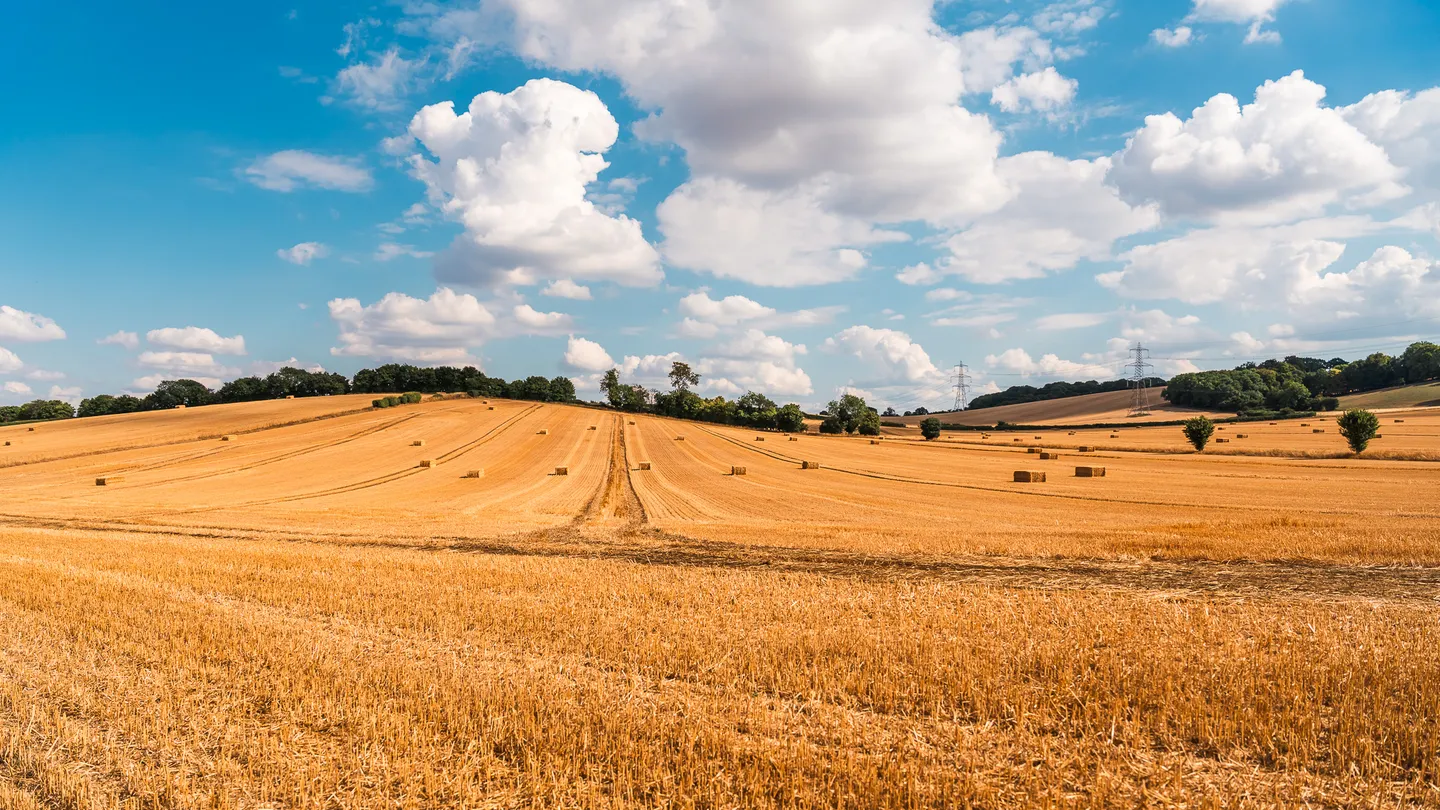 Breathe Deep, Live Fully - The Health Benefits of Rural Nature