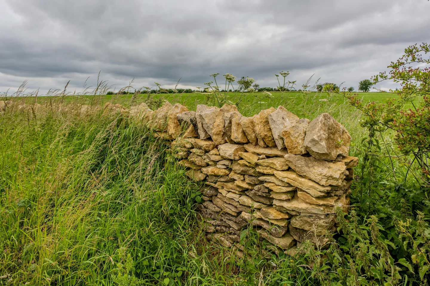 UK Government Launches £350 Million Investment in British Farming