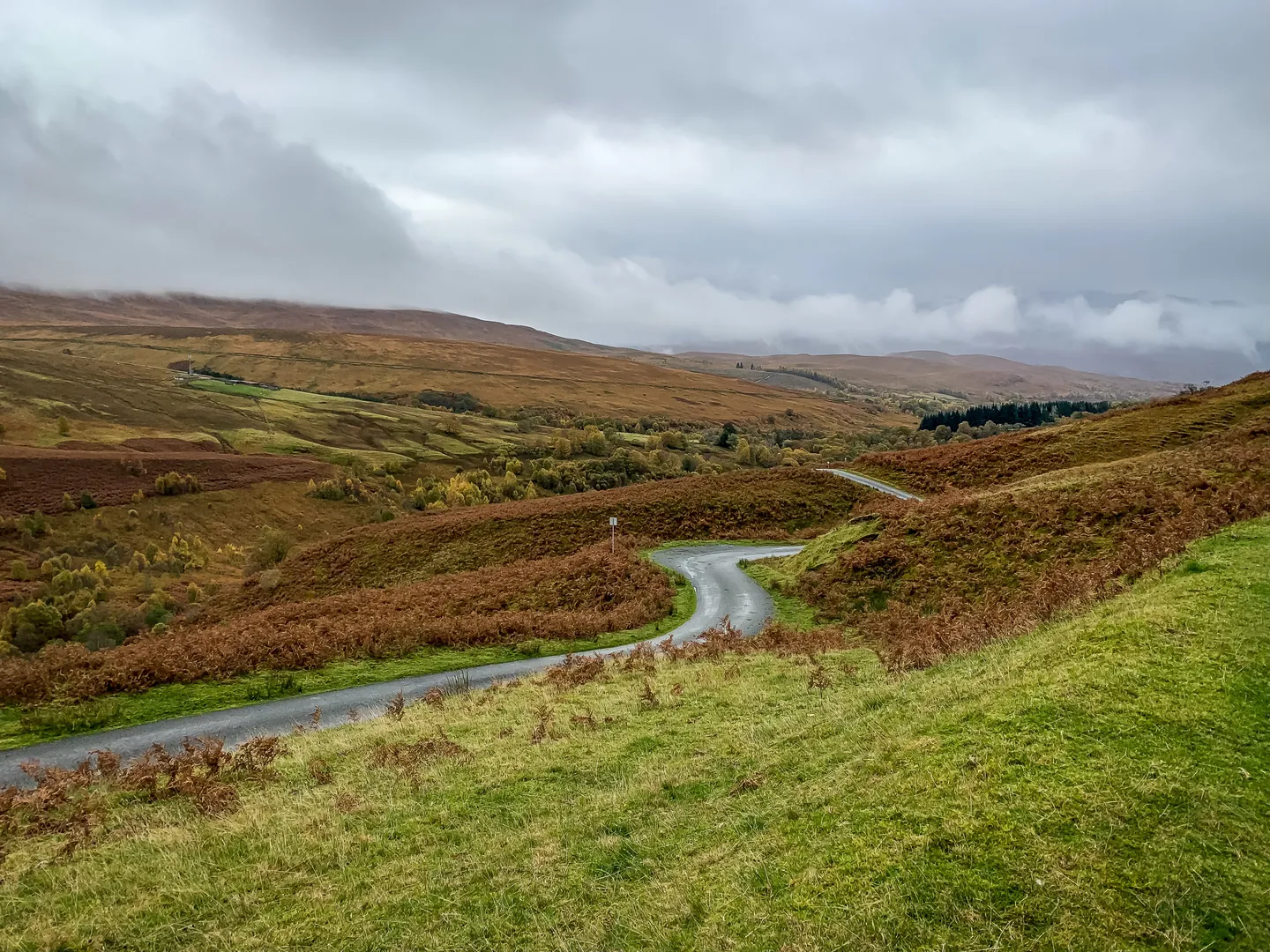 Scotland's Natural Capital Investment Boom Cools as Market Realities Set In