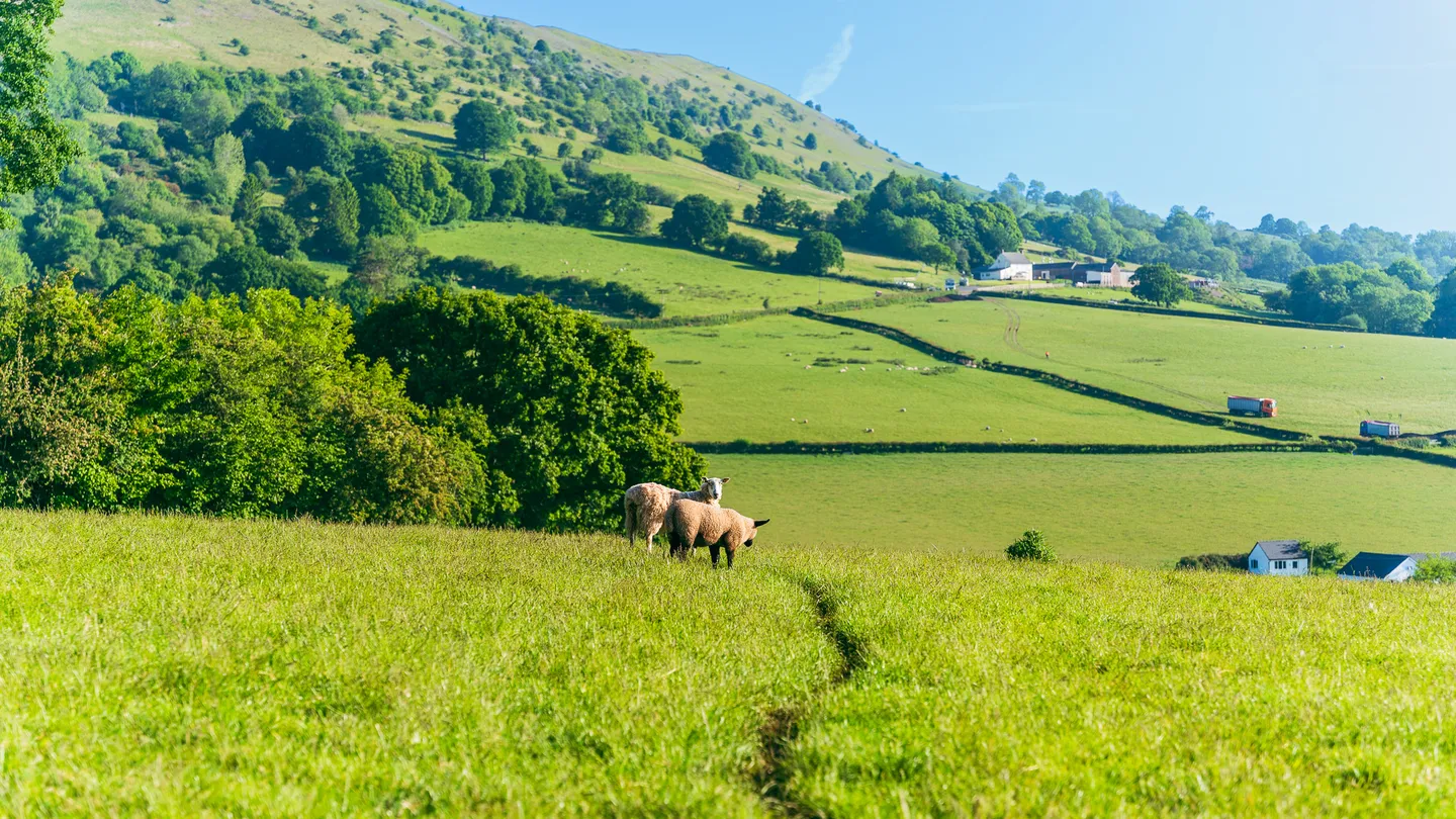 EU Leaders Emphasize the Crucial Role of Rural Areas for Europe's Future